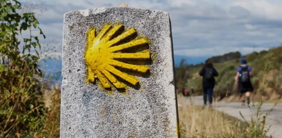 camino_santiago.jpg